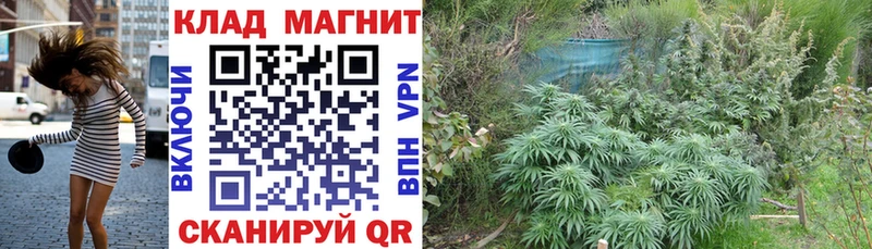 Продажа наркотиков Агрыз COCAIN  A-PVP  Канабис 