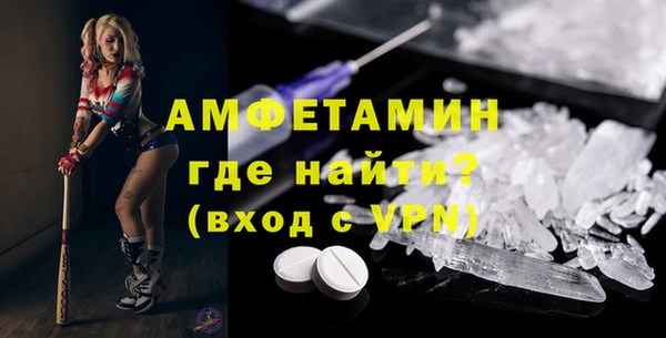 мет Алексин