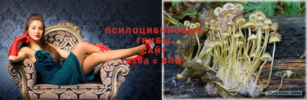 первитин Коряжма